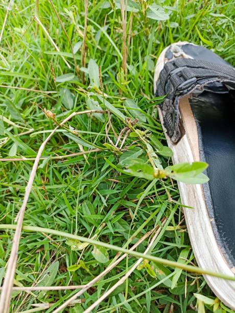 istock Worn black sandals were in the grass 2199046673