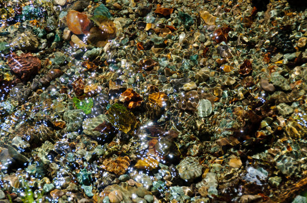 The Sparkle of a Stream. Aomori, Japan