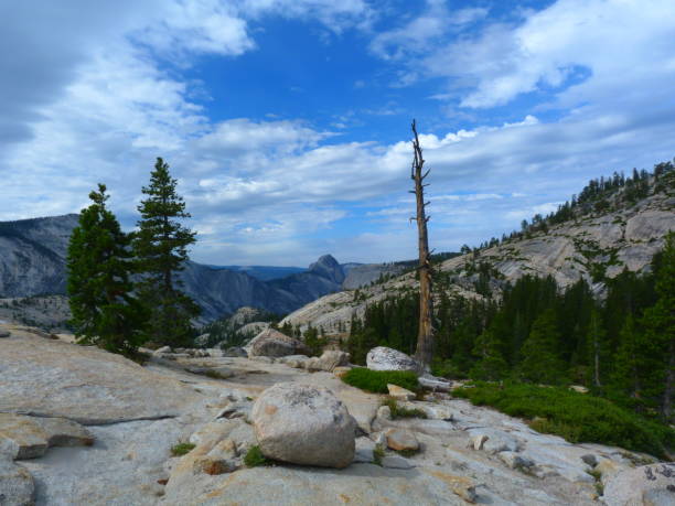 View from Olmsted Point, Yosemite National Park, California