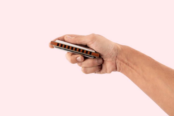 Male hand holding an harmonica isolated on pink background. High quality photo