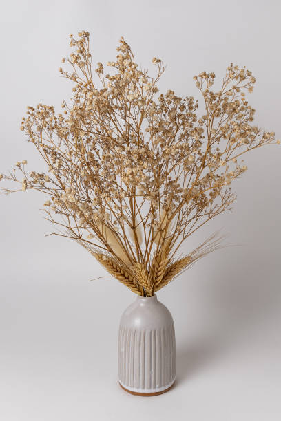 istock Home decor, ceramic vase with dried flowers 2199055968