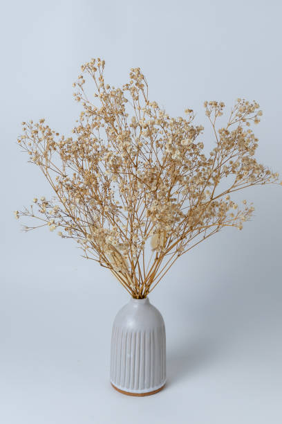istock Ceramic vase with dried flowers 2199056619