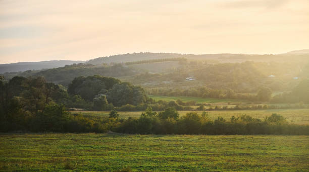 istock Sunset on a natural landscape. Trees and a field 2199056688