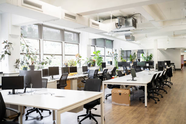 Modern Open Office Space with Desks, Chairs, and Computer Setups in Bright Daylight