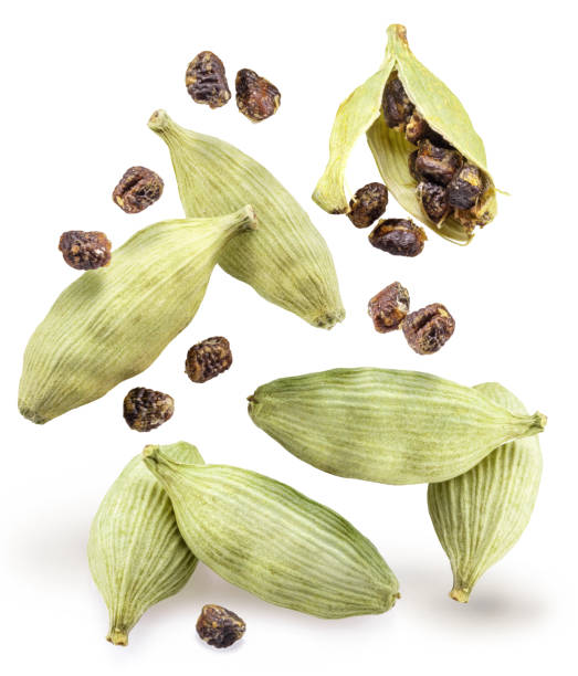 istock Green cardamom pods and seeds levitating in air on white background. 2199058921