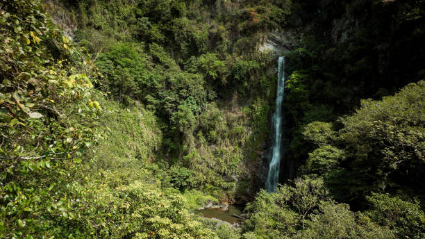 istock Majestic waterfall cascading through lush greenery in Taiwan serene forest landscape 2199060061