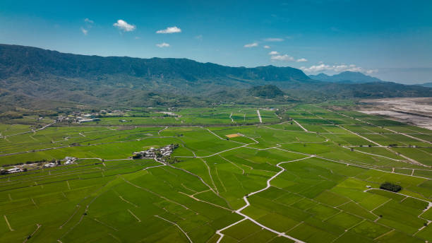 istock Expansive green fields with winding paths under a clear blue sky in Taiwan rural landscape 2199060131