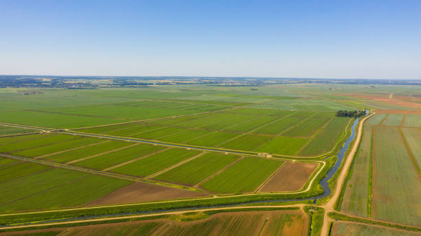 istock Agricultural land with green crops from above 2199061785