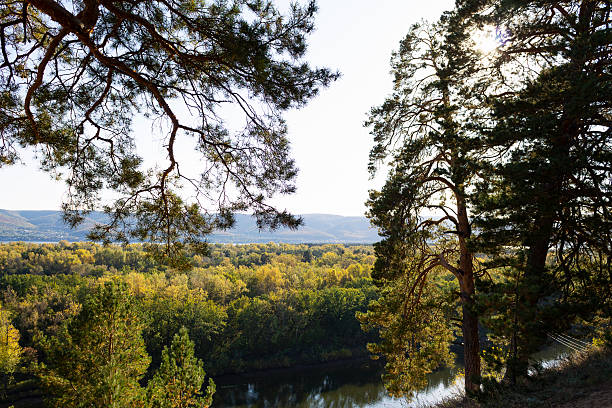 Autumn landscape with a lake surrounded by dense trees and vibrant foliage under a clear blue sky