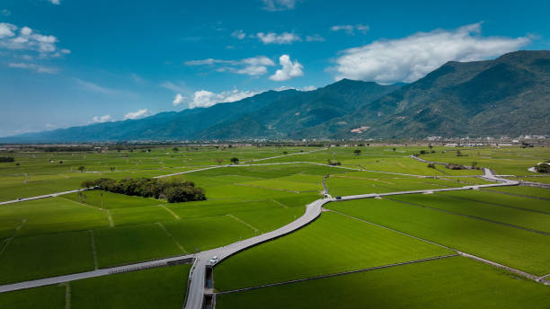 istock Green rice fields along Paradise Road, Taiwan, with distant mountains and a blue sky 2199066126