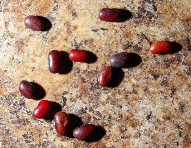 istock A bunch of red beans are scattered on a brown surface 2199077533