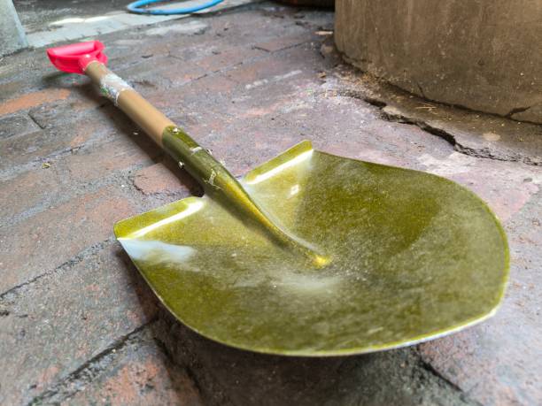 Cleaning aids, Shovel tools for cleaning the cage. Shovels are used to clean chicken droppings in the cage. We still use manual tools to clean the cage, namely scoops. In addition to being cheap, it is also quite durable using human power.