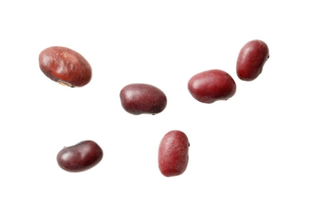 A bunch of red beans are shown in a row. The beans are of different sizes and are spread out