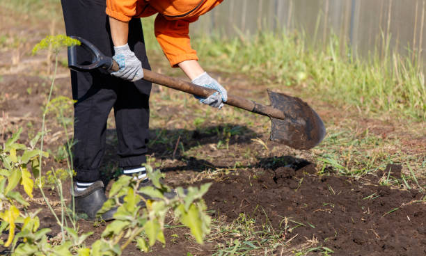 istock A person is digging a hole in the dirt with a shovel 2199077785