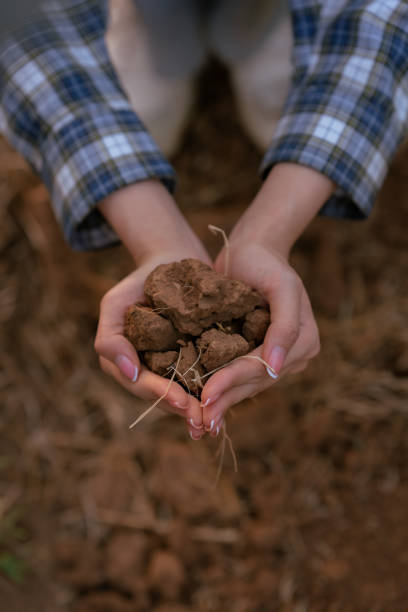 Asian female farmer checks soil in hand while working on farm to grow quality crops