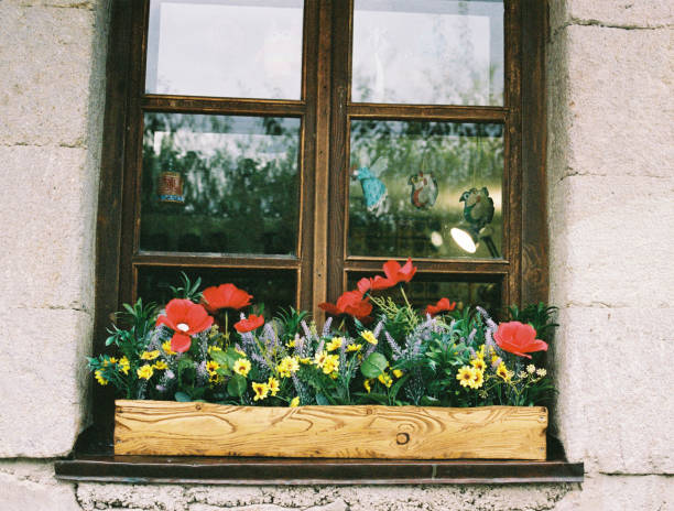A charming wooden window with a decorative flower box filled with red poppies, yellow daisies, and lavender blooms. The window has a rustic wooden frame, and the reflection shows a soft, natural outdoor setting.