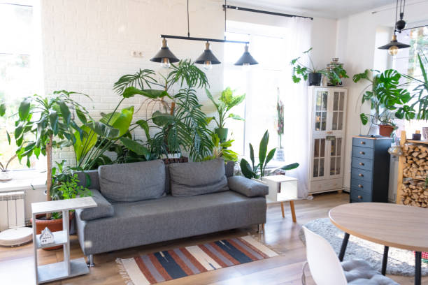 istock Modern loft-style interior of house features large potted plants, white brick wall, gray sofa, a striped rug, and large windows. 2199089919