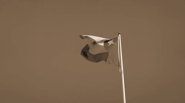 istock Flag National Lowangle Sepia Waving Symbol Freedom Identity Pride Iconic 2199092926