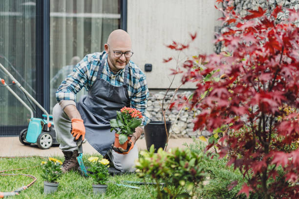 istock Happy gardener adding flowers to the flower bed 2199095975