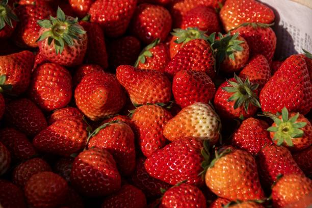 istock Close-up of fresh ripe strawberries 2199098332