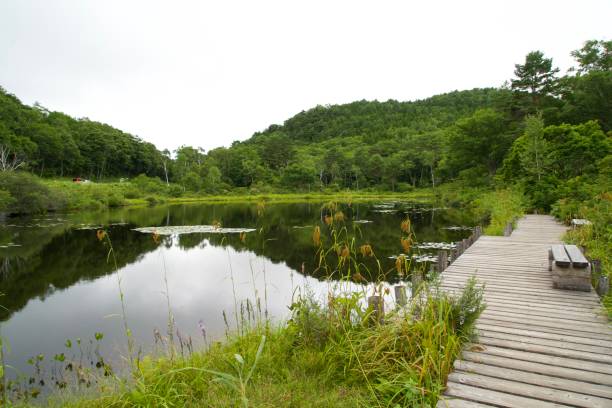 istock A view of Ichinuma in Shiga Kogen in summer 2199106911