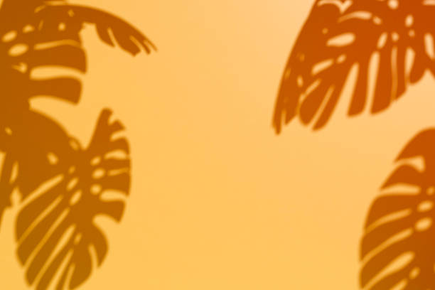 3d monstera leaves shadow on vivid yellow background. Minimal summer concept with tropical shadows. A template for a product presentation. Space for the text.