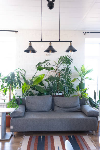 istock Modern loft-style interior of house features large potted plants, white brick wall, gray sofa, a striped rug, and large windows. 2199109703