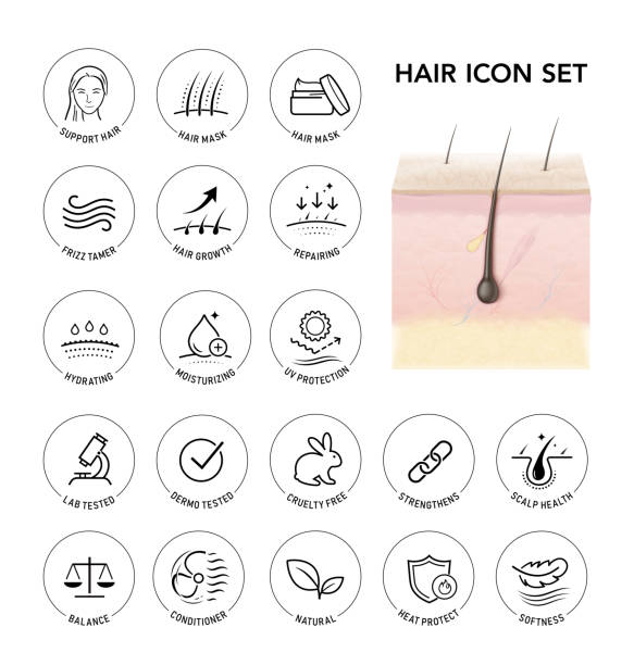 istock Highly realistic multiple layers skin with hair mockup and set icons. 2199111803