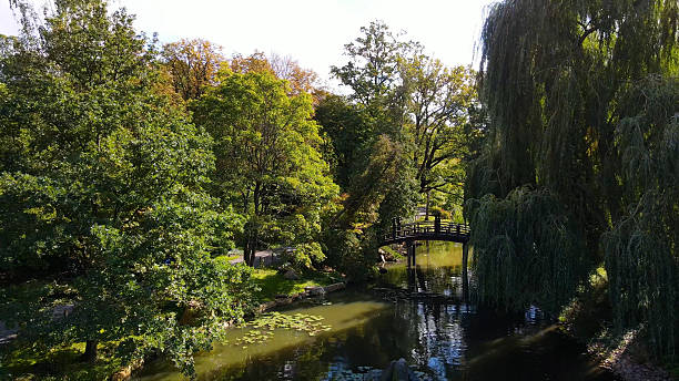 istock japanese garden landscape top view 2199115337