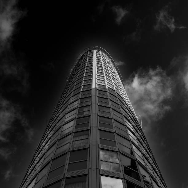 istock Residents of the Sky 2199117001
