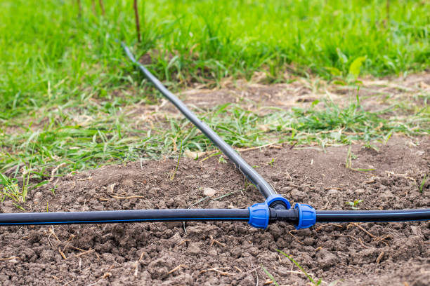 istock Carrying out drip irrigation. Mounted HDPE pipe, connected with a tee on the garden plot 2199117325
