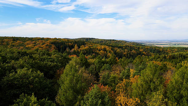istock autumn landscape view from above hill forest 2199117668