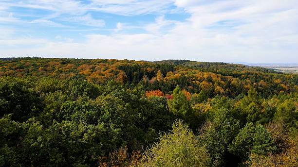 istock autumn landscape view from above hill forest 2199117692