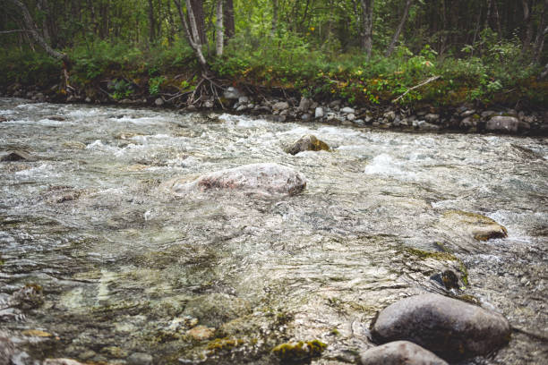 mountain river in mountain forests in Khibiny
