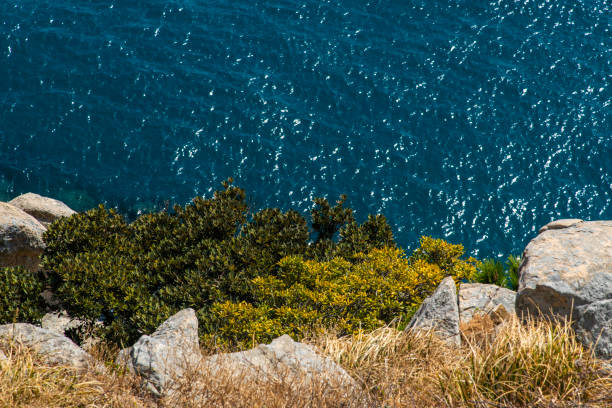 seascape