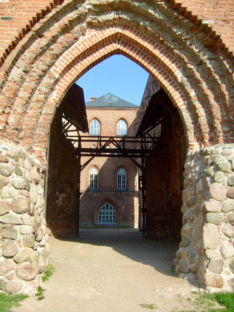 istock Tartu cathedral - Estonia 2199124292