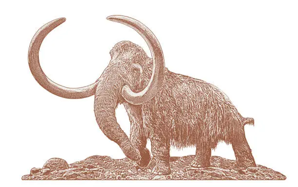 Free extinction clipart Clipart Images FreeImages Free extinction clipart Clipart Images FreeImages