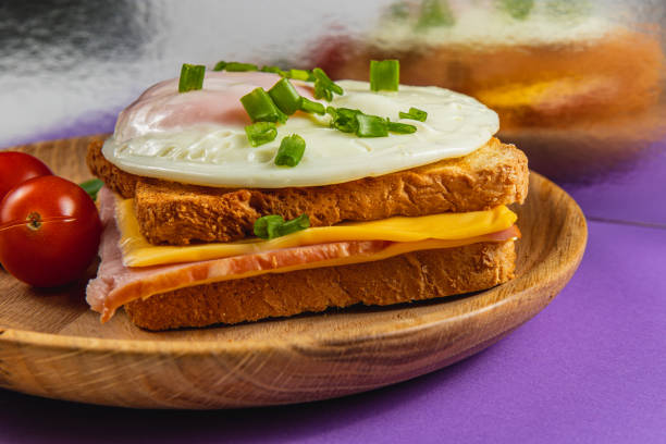 Toasted tortilla and ham sandwich, lunch and breakfast