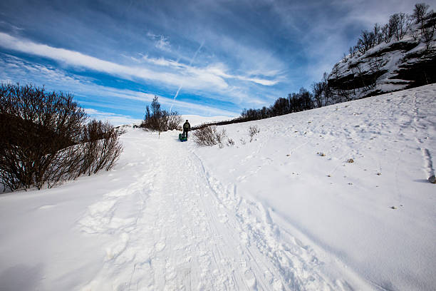 Ski expedition in Dovrefjell National Park, south Norway.