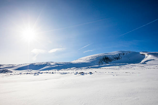 Winter landscape in Dovrefjell National Park, south Norway.