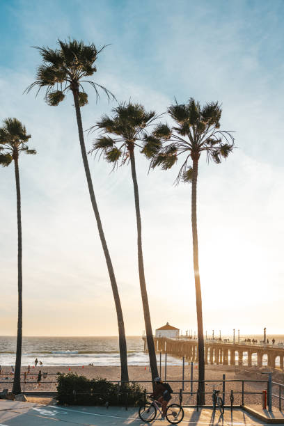 istock View to the Pacific Ocean from Manhattan Beach in California 2199135802