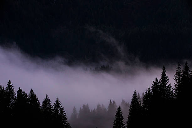 Majestic mountains, wrapped in a misty haze, keep their secrets. Dense coniferous forest covers the slopes, creating an atmosphere of tranquility and privacy. This picture of nature inspires reflection and gives a sense of harmony.
