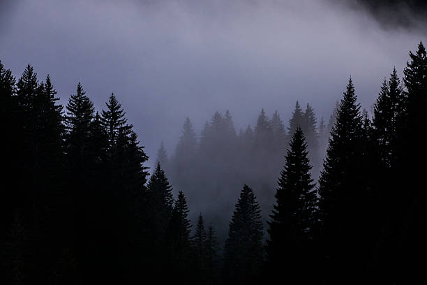 istock Sunset in Dolomites mountains, Alps, northern Italy 2199135901