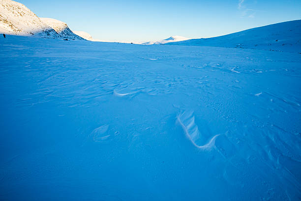 Winter landscape in Dovrefjell National Park, south Norway.