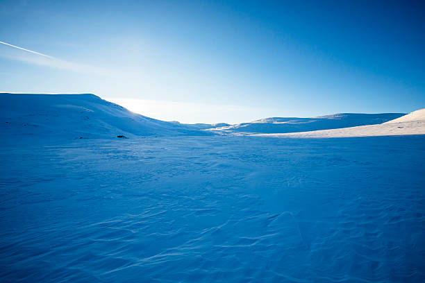 Winter landscape in Dovrefjell National Park, south Norway.