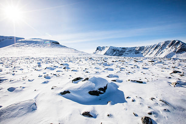 Winter landscape in Dovrefjell National Park, south Norway.