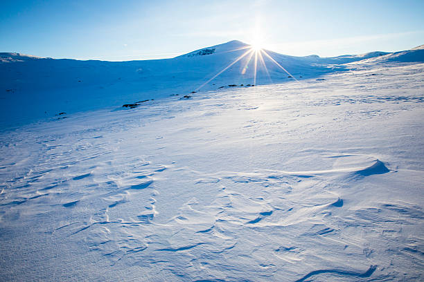 Winter landscape in Dovrefjell National Park, south Norway.