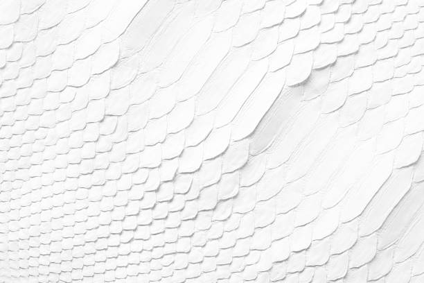 istock natural snake skin texture, white leather background 2199141703