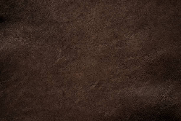 istock brown buffalo skin texture, dark leather background 2199141754