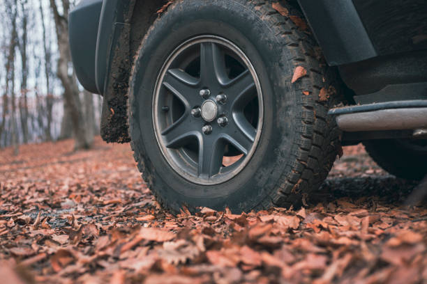 istock The car stands in the forest 2199146225